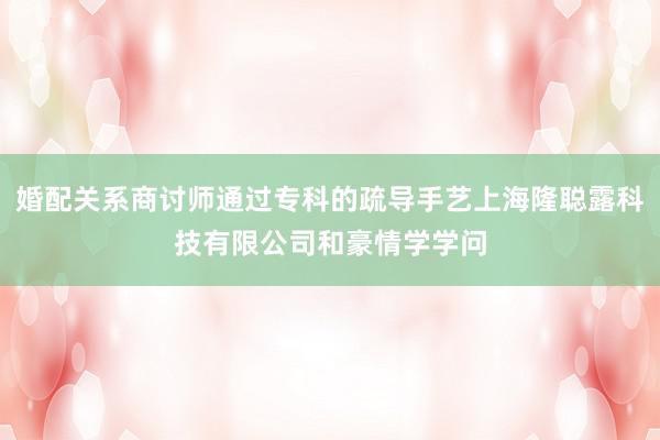 婚配关系商讨师通过专科的疏导手艺上海隆聪露科技有限公司和豪情学学问